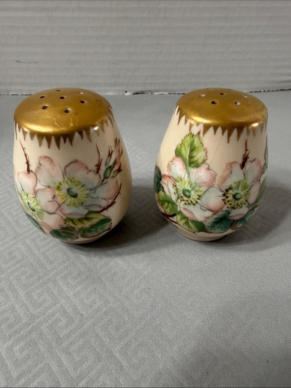 Vintage Ellen Rasmussen Porcelain Hand-Painted Wild Roses Salt & Pepper Set